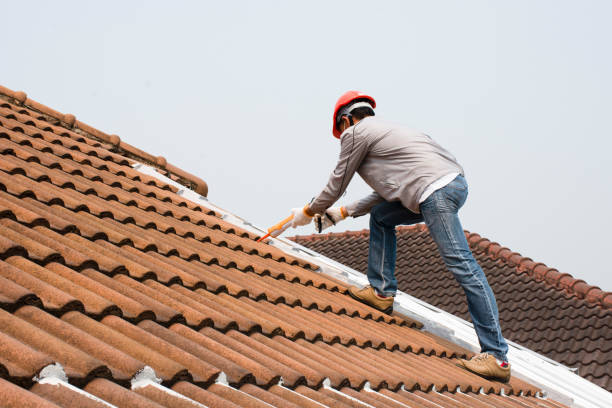 Best Roof Moss and Algae Removal  in Cerritos, CA